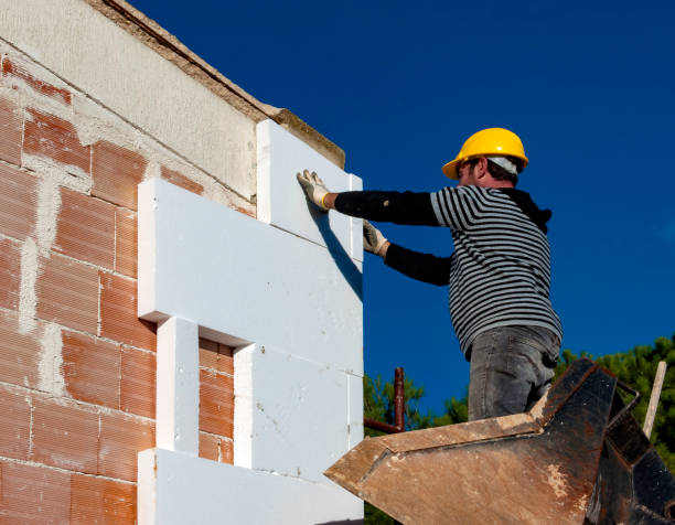 Best Spray Foam Insulation in Van Vleck, TX