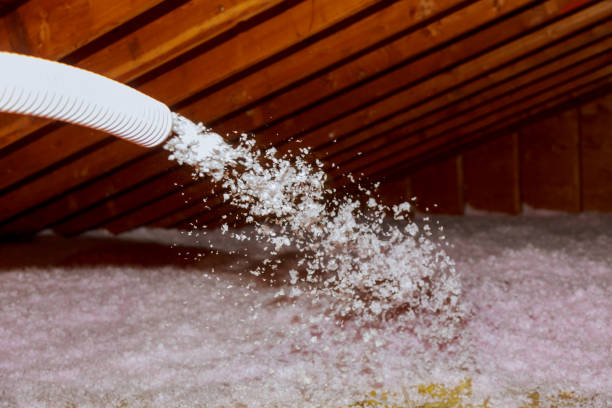 Professional Insulation Contractor in Van Vleck, TX