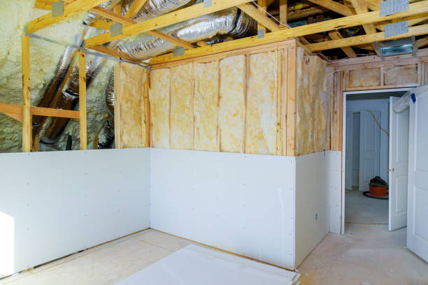 Best Spray Foam Insulation in Van Vleck, TX