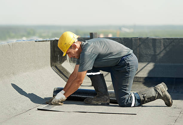 Best Geographic-Specific Insulation Services in Van Vleck, TX