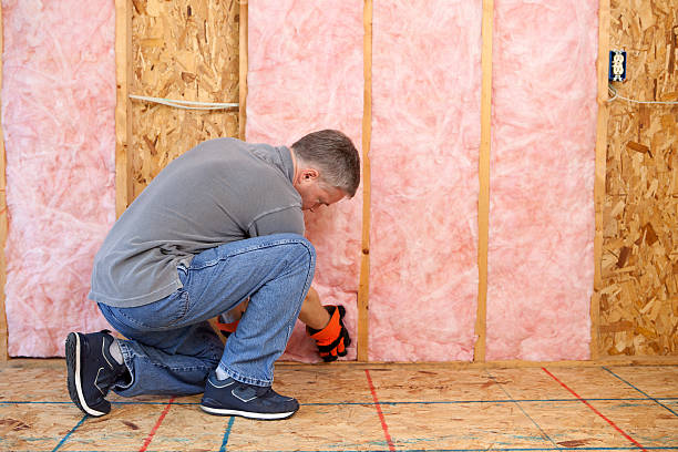 Best Insulation Maintenance and Repair in Van Vleck, TX